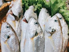 -蓝港海鲜厨房(闽江路店)