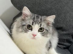 -瑞派康怡24h宠物医院·犬猫医疗中心·微创绝育(瑞景分院)
