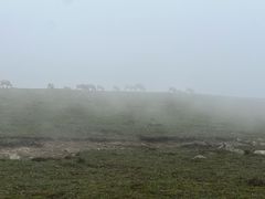 -灵山