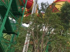 -苏州乐园森林水世界