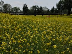 -长白岛森林公园