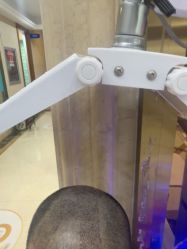 -碧莲盛·不剃发植发