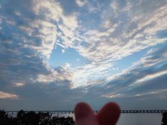 -宝安西湾红树林湿地公园