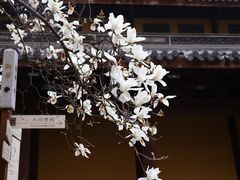 -龙华寺
