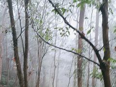 -普陀山风景名胜区-法雨禅寺