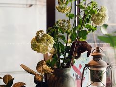 -luutosa  cafe & tea 鹿兔山