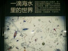 -同济大学四平路校区深海探索馆