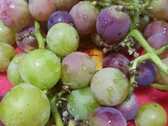 -乡乐园蟹庄·阳澄湖农家乐