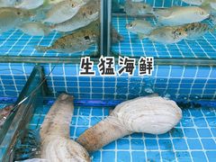 -红月湾海鲜饭店•沙滩海景(双月湾店)