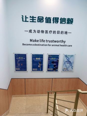 这几天的家里的猫猫一直不吃东西,因为工作的原因一直都