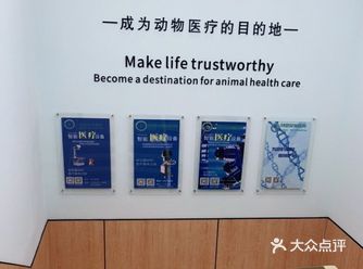 这几天的家里的猫猫一直不吃东西,因为工作的原因一直都