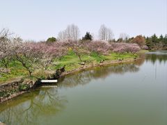 -上海海湾国家森林公园