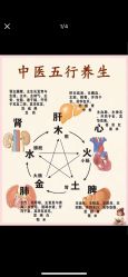 -克丽缇娜