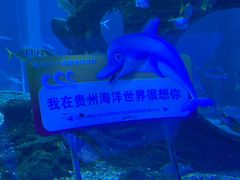 -多彩贵州城极地海洋世界