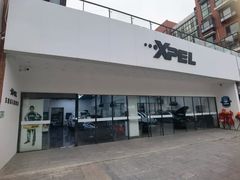 -XPEL旗舰店·汽车贴膜·隐形车衣·改色贴膜