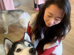 -Husky Go! 哈士奇体验馆·宠物咖啡厅狗咖