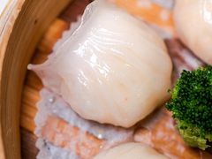 金悦虾饺皇-金悦轩海鲜酒家(拱北店)