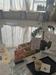 -KONSISTANT科思坦汀问题肌·科技美肤