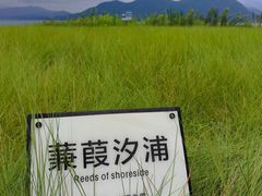 -黄山太平湖风景区