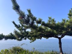 -养马岛旅游度假区
