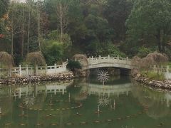 -山湖温泉
