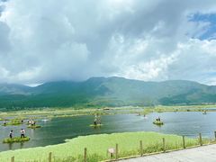 -腾冲北海湿地