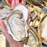 新开的！！又可以在深圳实现海鲜自由了🦞