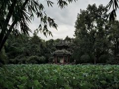 -房湖公园