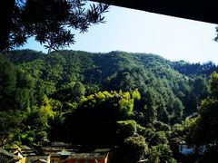 -杨家堂村