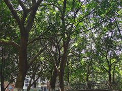 -重庆工商大学(南岸校区)
