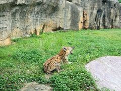 -杭州野生动物世界