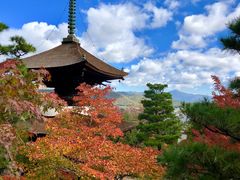 -常寂光寺
