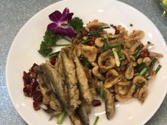 -东哥紫阳蒸盆子(旺座·现代城店)
