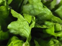 -聚味罗记大排檔·烧烤·鲜鱼杂·甲鱼煲(科学馆店)