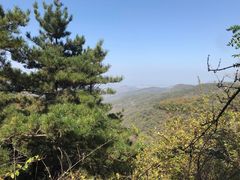 -鲁山国家森林公园