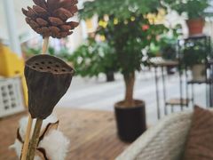 -绿韵风情吧(三峡广场店)