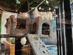 -弓舍射箭俱乐部(高新总店)