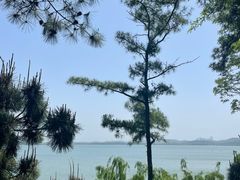 -东湖生态旅游风景区