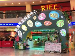 -上海大自然野生昆虫馆(东方明珠·爬宠昆虫探索中心)