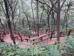 -大岭沟猕猴桃谷风景区