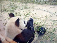 -西安秦岭野生动物园