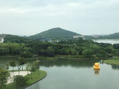 -佘山世茂艾美·御珍轩中餐厅