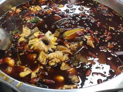 -重庆何乌鱼(南湖逸家店)