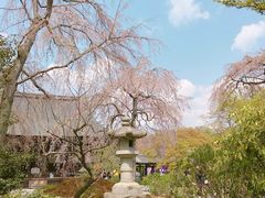 -天龙寺