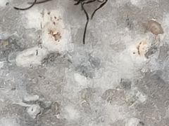 -金汤湾海水温泉度假酒店