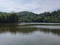 -西樵山风景名胜区-天湖公园