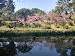 -南溪山景区