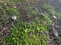 -尚贤河湿地