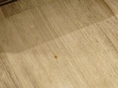 -上海静安洲际酒店