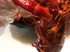 -香满锅老北京羊蝎子火锅·家常菜(新街口店)